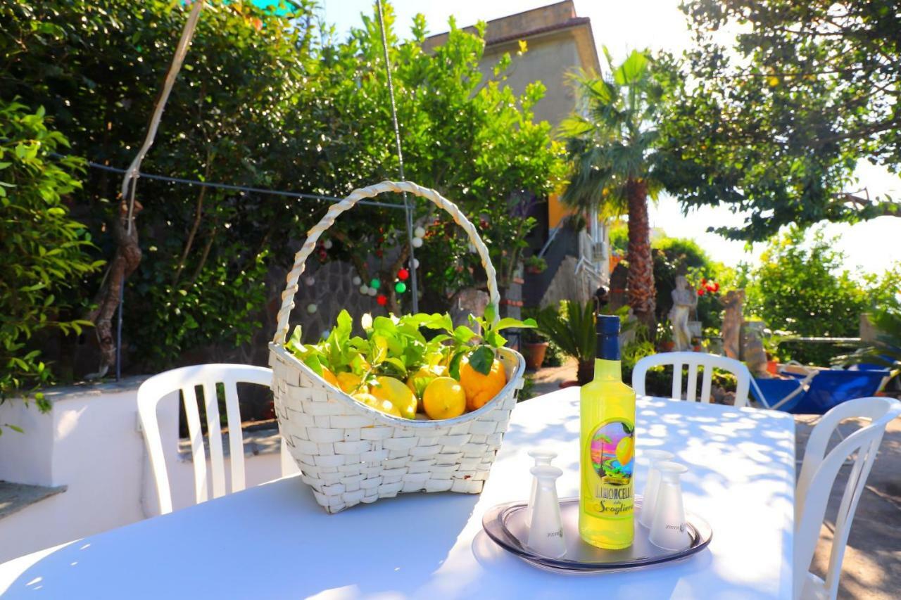 La Rosa Del Sud - De Vivo Realty Sorrentoアパートメント エクステリア 写真