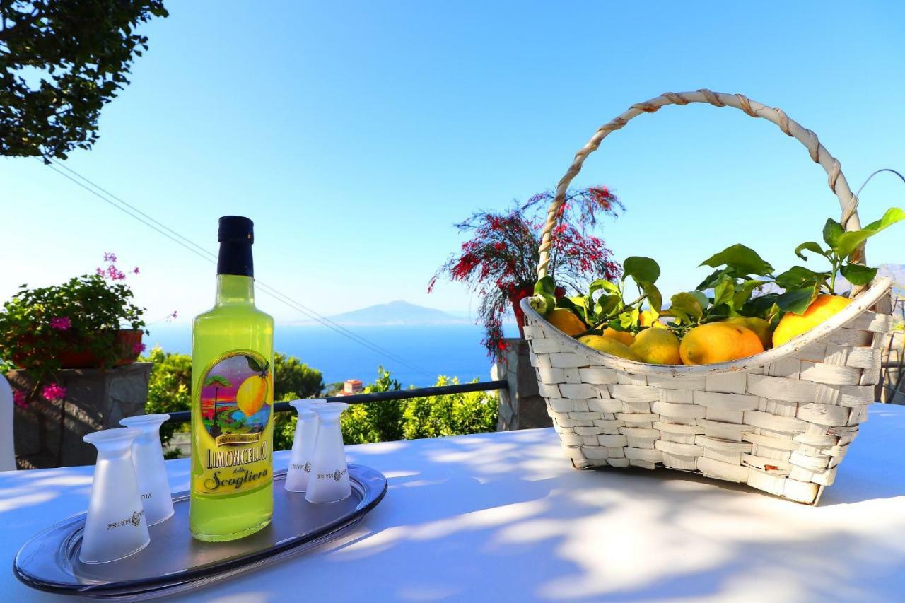 La Rosa Del Sud - De Vivo Realty Sorrentoアパートメント エクステリア 写真